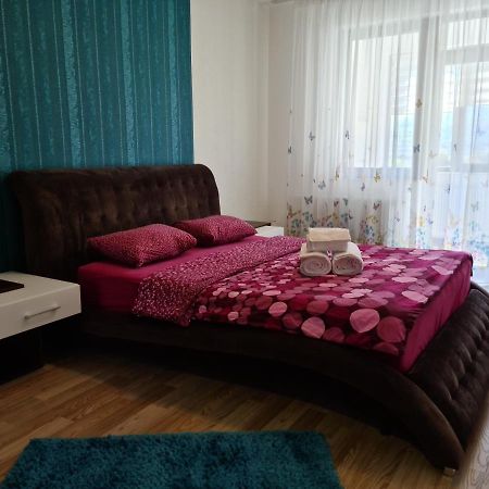Premium Apartment Isaran Brasov Luaran gambar